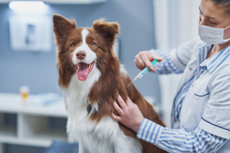 Clínicas Veterinárias