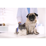 aplicação de vacina contra leishmaniose para cães Setor Leste Gama (Gama)