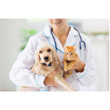 aplicação de vacina da gripe para animais Recanto das Emas (Recanto das Emas)