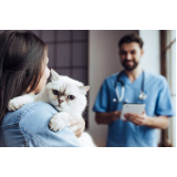 castração gato clínica Setor Norte Planaltina (Planaltina)