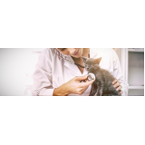 clínica para internação de animais Setor M C - Ceilândia (Ceilândia)