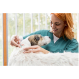 clínica que aplica vacina da gripe para animais Núcleo Rural Lago Oeste (Sobradinho)