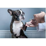 clínica que aplica vacina de raiva para cachorro Vila Vicentina Planaltina (Planaltina)