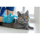 clínica que aplica vacina de raiva para gatos Paranoá