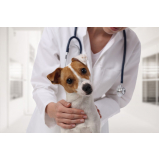 internação para animais de estimação clínica Riacho Fundo