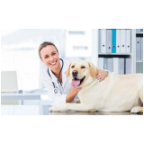 internação para animais domésticos clínica Riacho Fundo