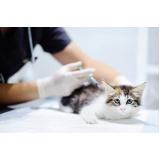 onde faz aplicação de vacina de gato Setor Industrial Gama (Gama)