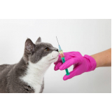 onde tem vacina de raiva para gato Candangolândia