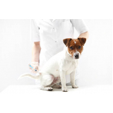 remédio para pulgas cachorro Setor Habitacional Vicente Pir (Taguatinga)