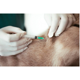 vacina da raiva para cachorro Areal Águas Claras (Taguatinga)