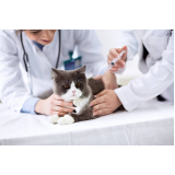 vacina de gato marcar Paranoá (Paranoá)