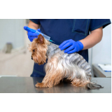 vacina de raiva para cachorro marcar Areal Águas Claras (Taguatinga)