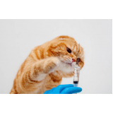 vacina de raiva para gatos Eixo Monumental