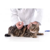 vacina para animais de estimação marcar Recanto das Emas