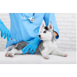 vacina para sarna em cachorro marcar Lago Norte