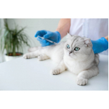 vacina v4 gatos marcar Setor Oeste Gama (Gama)