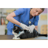 vacinas de gato marcar Riacho Fundo