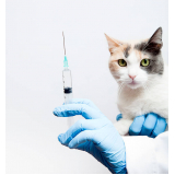 vacinas para animais domésticos marcar Zona Industrial Guará (Guará)