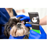 veterinário especialista em olhos marcar Setor M C - Ceilândia (Ceilândia)